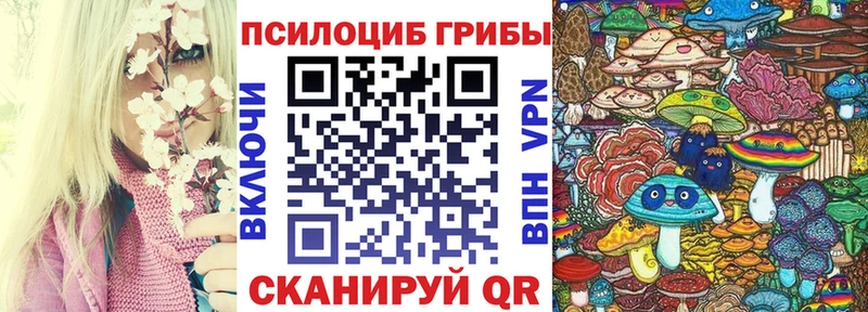 Галлюциногенные грибы MAGIC MUSHROOMS купить наркоту Черемхово
